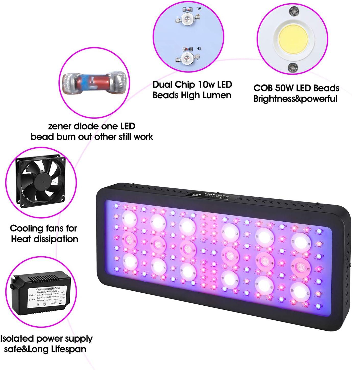 Timer Dual Switch & Dual Chips Full Spectrum