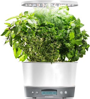 AeroGarden Hydroponic Indoor Garden Kit