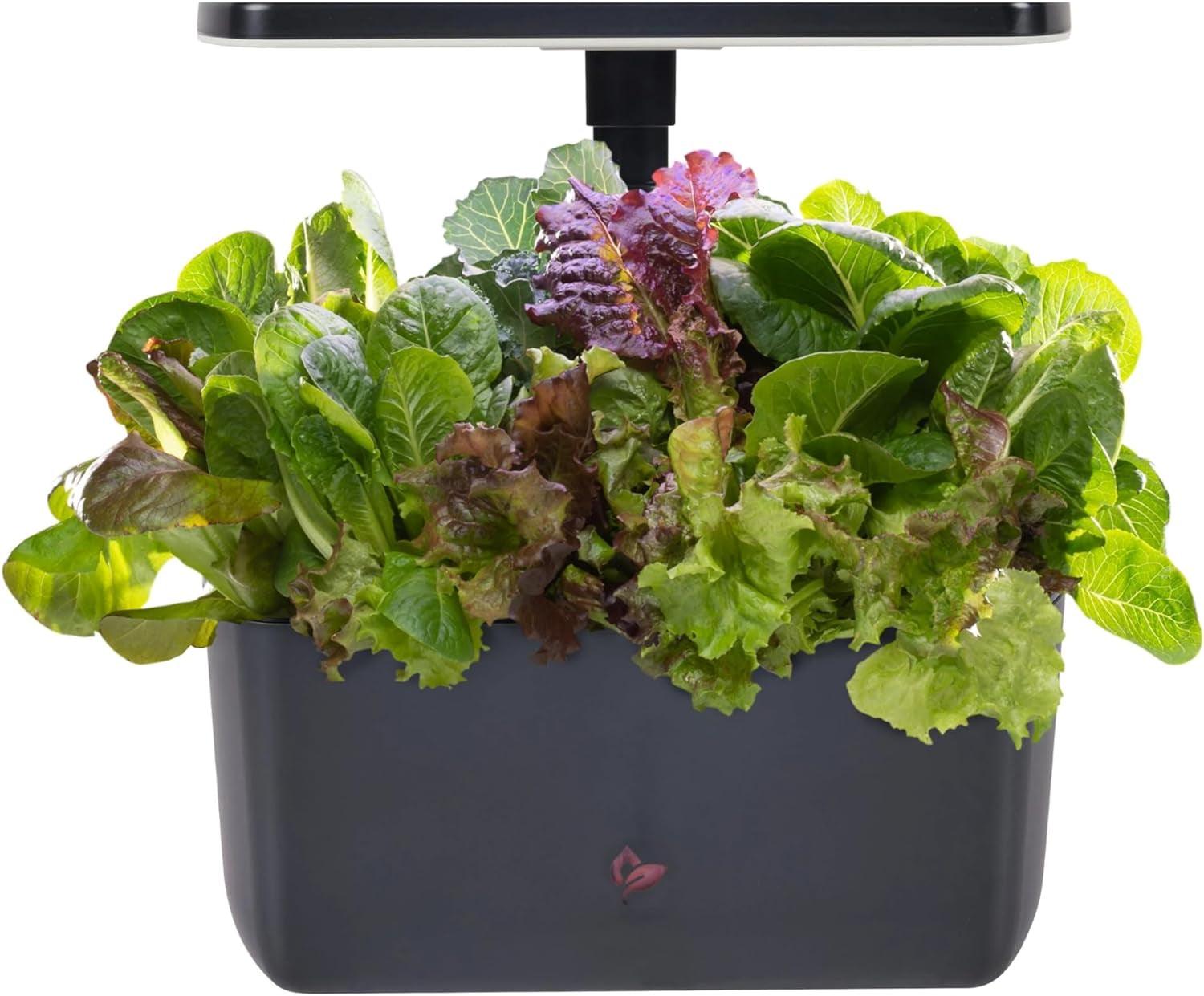 AeroGarden Hydroponic Indoor Garden Kit