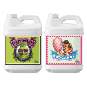 Big Bud and Bud Candy Bundle