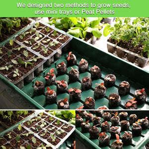 MIXC Complete Seedling Kit