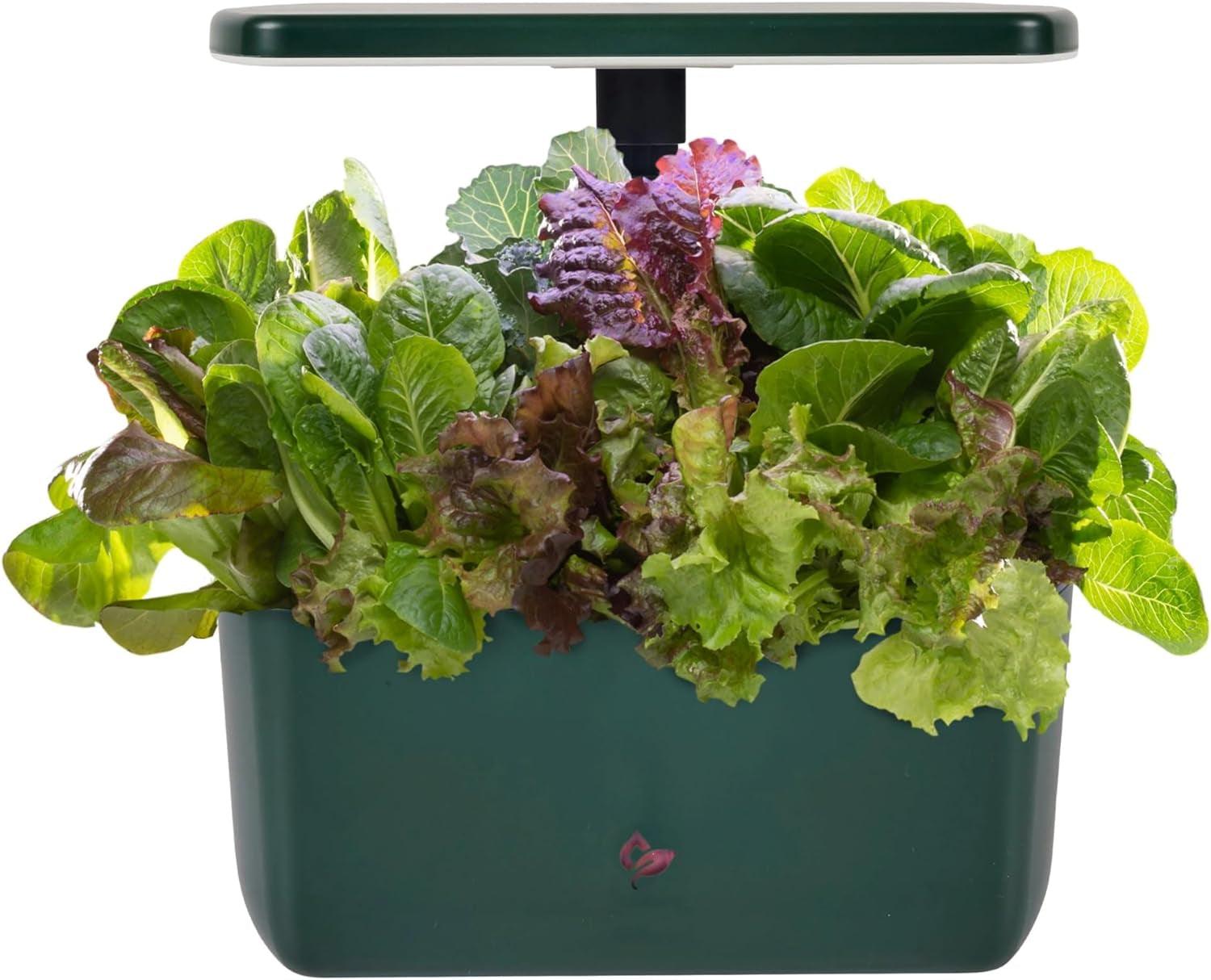 AeroGarden Hydroponic Indoor Garden Kit