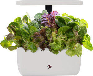 AeroGarden Hydroponic Indoor Garden Kit