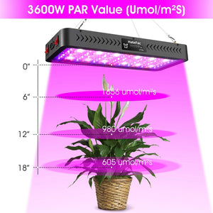 Timer Dual Switch & Dual Chips Full Spectrum