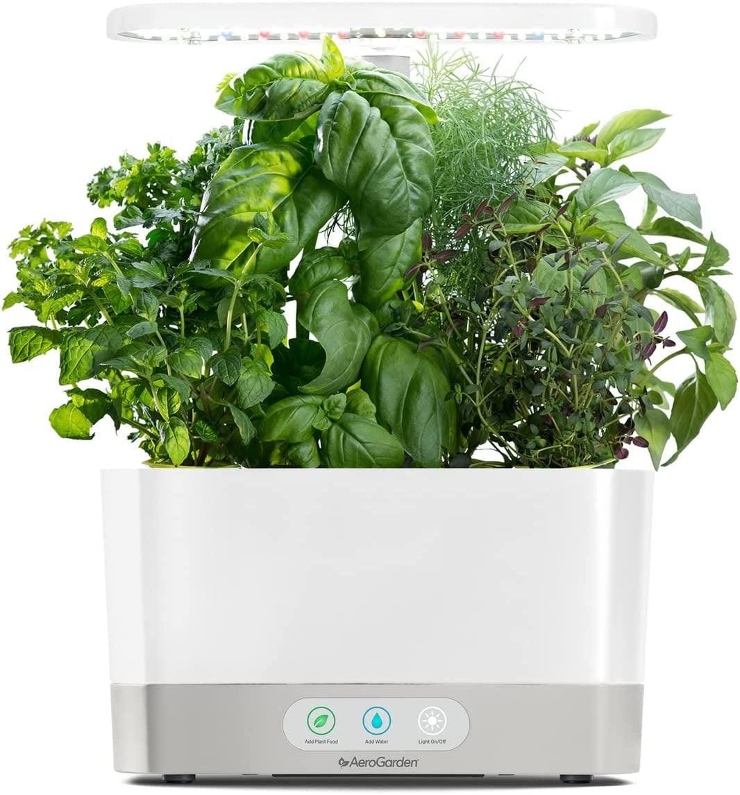 AeroGarden Hydroponic Indoor Garden Kit