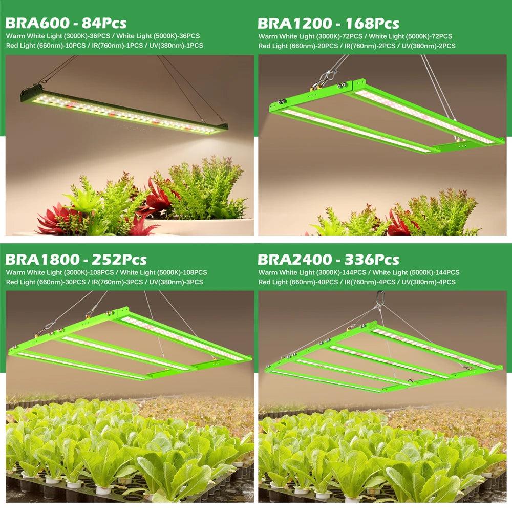 Full Spectrum LED Grow Light: Samsung LM281B+ High Brightness Growing Lamp