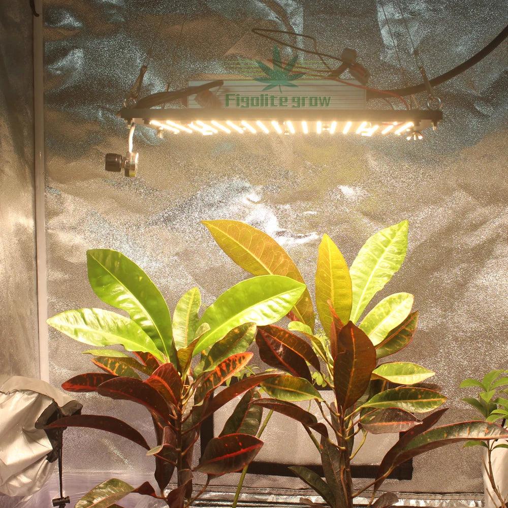 Figolite QB288 LM301H 125W Mix 660Nm UV IR LED Grow Light Board